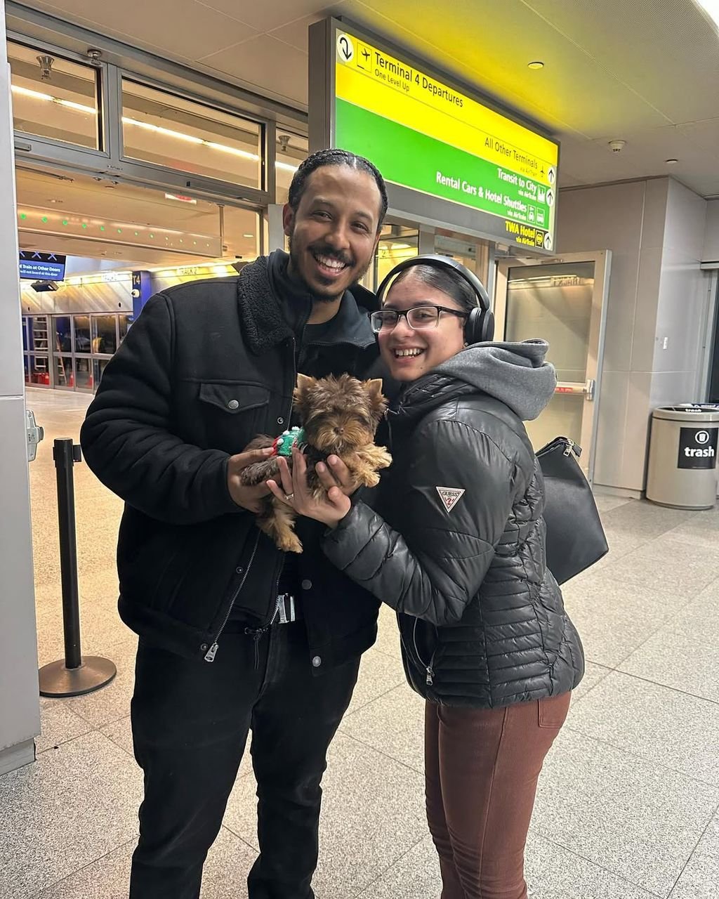 Yorkshire Terrier Puppy