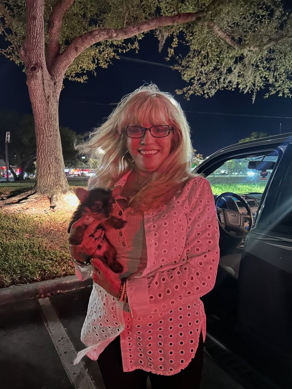 Yorkshire Terrier Puppy