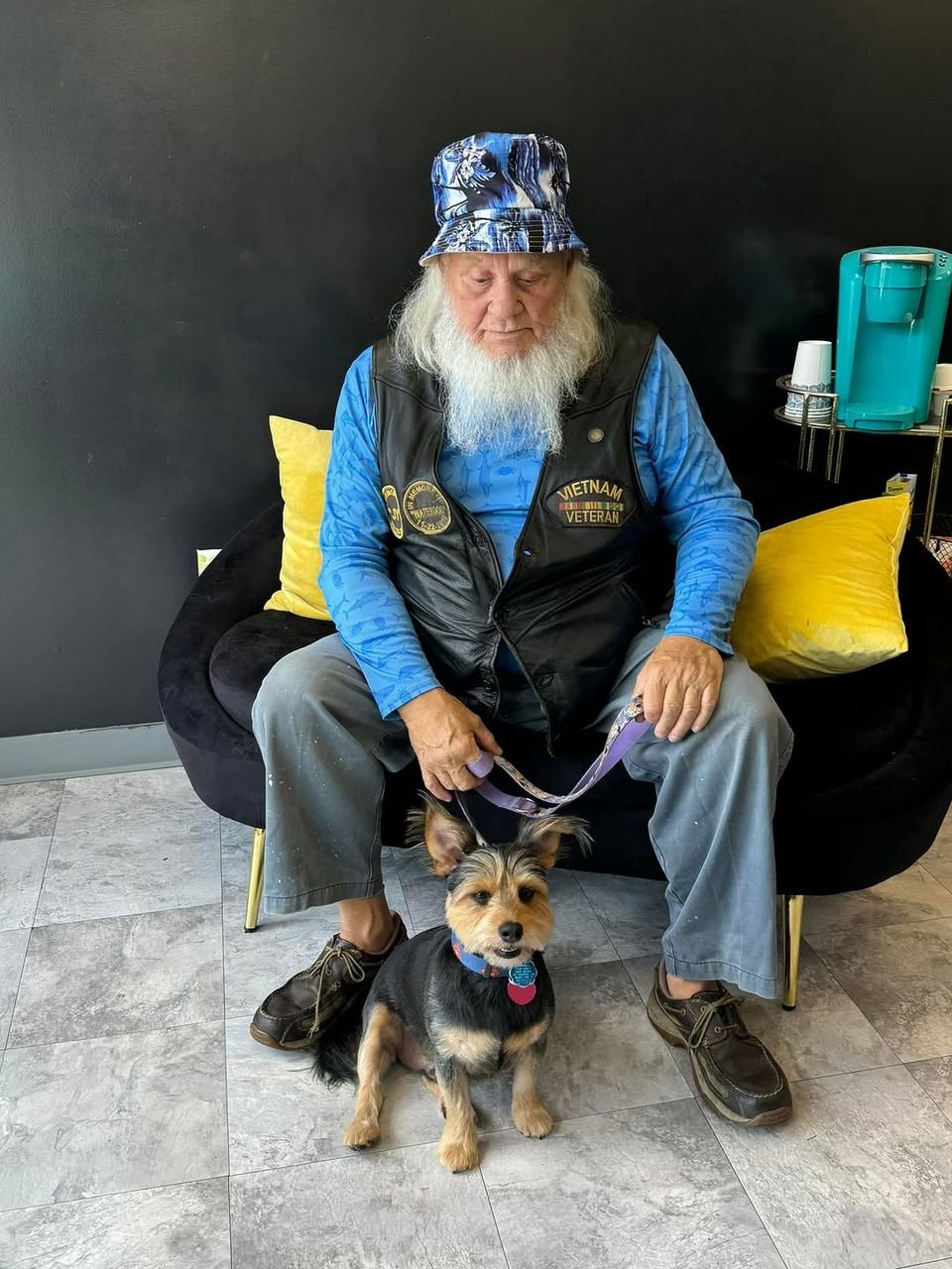 Yorkshire Terrier Puppy